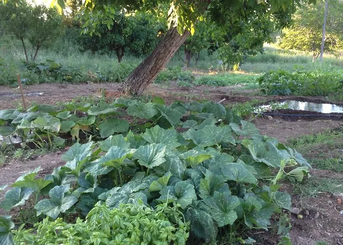 Antica Conca D'oro Alojamento de Turismo Rural Ogliastro Cilento