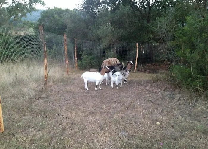 Alojamento de Turismo Rural Antica Conca D'oro