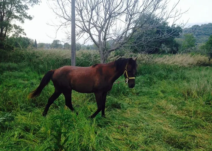 Alojamento de Turismo Rural Antica Conca D'oro *