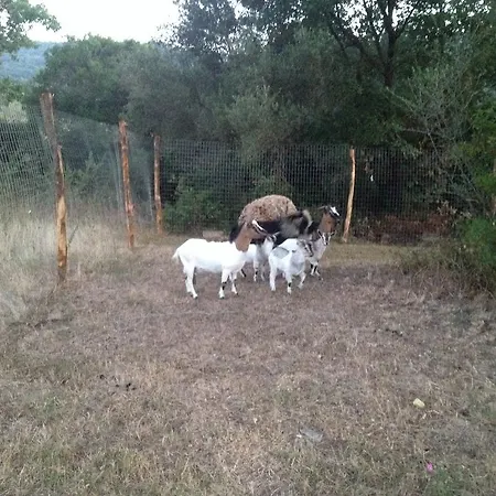 Alloggio per agriturismo Antica Conca D'oro