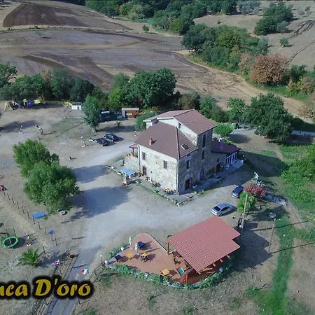 Antica Conca D'oro Ogliastro Cilento